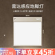 羅格朗（LEGRAND） 地腳燈光控雷達(dá)感應(yīng)壁腳燈逸典智能86型走廊燈過(guò)道燈小夜燈家用 逸典金 雷達(dá)感應(yīng)壁腳燈