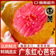 橙小士廣東紅心芭樂 當季軟糯番石榴 水果新鮮奶油胭脂紅巴樂年貨整箱 3斤大果【精選裝】