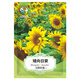 綠林花語(yǔ)矮向日葵種子觀(guān)賞盆栽花種籽四季播種好養易活矮生迷你向日葵種子