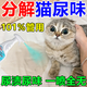 小凍貓尿分解劑生物酶尿漬除味劑洗被子去除貓尿騷味除臭室內清潔神器 一瓶500ML【除臭除尿味】
