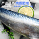 霜海國產(chǎn)鹽漬青花魚(yú)可煎可烤冷凍青花魚(yú)片生鮮海鮮水產(chǎn)單片獨立裝 70g*15袋 獨立包裝