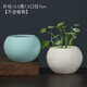 陶瓷哥窯開(kāi)片陶瓷水培小花盆無(wú)孔花缽綠植容器小清新桌面花器 哥窯求滿(mǎn)藍(lán)色加米色