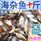 【現(xiàn)捕現(xiàn)發(fā)】青海鮮活海雜魚(yú)批發(fā)新鮮深海魚(yú)大雜燴海鮮水產(chǎn) 10斤裝 海雜魚(yú)
