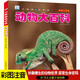 【挑選2本24元】小眼睛看世界彩圖注音版 全套22冊 正版 自然海洋恐龍汽車(chē)宇宙植物兵器動(dòng)物大百科 小學(xué)生科普讀物 動(dòng)物大百科【挑選2本24元】