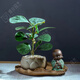 OIMG頓悟小盼菩提禪意盆栽觀(guān)葉綠植物辦公室內花茶桌面四季好養盆景樹(shù) 小盼菩提+果子+蓮花盆+荷葉托盤(pán)+禪定菩提+鋪面石 帶盆栽好