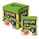 世棒（SPAM）簡(jiǎn)臻經(jīng)典K午餐肉單片裝開(kāi)袋即食獨立包裝(60g*10) 簡(jiǎn)臻經(jīng)典午餐肉600g