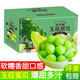 融暖（RONGNUAN）玉菇甜瓜 批發(fā)當(dāng)季玉菇蜜瓜香瓜 9斤裝 哈密瓜羊角蜜新鮮水果 玉菇蜜瓜   5斤精選禮盒裝