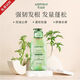 艾寶露植物艾草去屑洗發(fā)露控油止癢蓬松輕盈洗發(fā)水持久留香柔順洗頭膏 500g 艾草+青蒿(控油蓬松)
