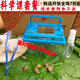 SHXI蝸?；铙w蝸?；铙w七彩小型寵物蝸?；铙w寵物學(xué)生觀(guān)察課蝸?？茖W(xué)課 六只帶全套工具