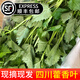 辰實(shí)四川新鮮藿香葉【順豐】魚香葉木香子香菜小茴香 2斤