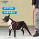 多尼斯（DOGNESS）狗狗胸背帶牽引繩中小型犬寵物遛狗鏈泰迪金毛狗繩子背心式 胸背帶套餐  紅色 XS/S (建議10斤以內(nèi))