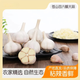 25年蒼山四六瓣大蒜大蒜種子新干蒜非轉(zhuǎn)基因老品種辣香黏脆3/5斤 5斤大果【圓通快遞】
