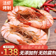 福建東山島九節蝦干即食斑節蝦干特大烤蝦對蝦干零食海鮮水產(chǎn)干貨 一斤（65-75只）