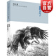 紅豺 雄鷹金閃子 沈石溪臻奇動(dòng)物小說(shuō)文集 熱血卷 8-9-10-12-15周歲兒童文學(xué)三四五六年級