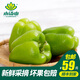 小湯山 青圓椒 約300g  新鮮蔬菜當(dāng)天采摘北京農(nóng)場(chǎng)順豐到家