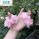 龍姑娘兒童發(fā)飾頭花女童丸子頭盤(pán)發(fā)發(fā)圈皮筋公主花苞舞蹈花朵女寶寶頭飾 粉色花朵2個(gè)