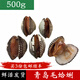 魚姐海成 青島毛蛤蜊鮮活新鮮赤貝海鮮水產(chǎn)貝類毛鉗血蛤生吃刺身500g袋裝