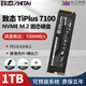 致態(tài)Ti600/致態(tài)鈦TiPlus7100固態(tài)硬盤(pán)1T長(zhǎng)江存儲(chǔ)PCIE4.0臺(tái)式筆記本SSD 致態(tài)TiPlus7100-1TB
