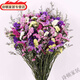云南干花花束滿天星花束風(fēng)干真花插花家居擺設(shè)小清新客廳裝飾擺件 6色混搭+草  長支55cm兩斤 不含花籃