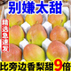 棠鮮生新疆庫(kù)爾勒香梨全母梨子新鮮孕婦水果整箱10斤特級(jí)大果多汁 9斤 爆甜多汁[特大果]精選商超品質(zhì)