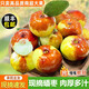 玫梔山西蟠棗 新鮮水果蜜罐冬棗脆甜棗即食盛過(guò)新疆云南中秋節禮盒裝 2.5斤 果王禮盒裝 （單果31-50g） 精選A+精選老樹(shù)果