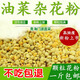 蜂之家優(yōu)質(zhì)油菜雜粉新粉高純度喂蜂花粉養(yǎng)蜂喂蜂專業(yè)花粉末蜜蜂飼料蜂糧 顆粒一斤裝 包【郵】