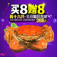 【活蟹】澄湖之心 陽(yáng)澄湖大閘蟹 螃蟹 母蟹2.3-2.6兩16只 現貨