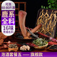 全延泡酒料男士用滋補養(yǎng)生藥材人參鹿茸鹿鞭十全大補包一套