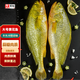 海升東黃花魚(yú) 大黃魚(yú) 深海速凍國產(chǎn)東海整條 生鮮 魚(yú)類(lèi)海鮮水產(chǎn)中秋禮盒 2條裝 1.8斤-2斤/條