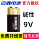 雙鹿9V電池堿性方塊九伏6LR61電子紅外線體溫槍溫度計(jì)萬(wàn)用表疊層電池方形玩具遙控器報(bào)警器無(wú)線 堿性1粒(保質(zhì)期7年)