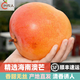 甜農(nóng)人海南澳芒 順豐快遞 大芒果 應(yīng)季新鮮水果 生鮮禮盒 精品 8斤禮盒外加大泡沫箱(凈重 )