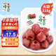山楂寶貝空心山楂果318g/袋 0添加 無(wú)核蜜餞果脯兒童休閑零食 不加色素