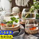 迪普爾玻璃魚缸生態(tài)缸桌面溪流缸迷你金魚缸小型水族箱斗魚缸養(yǎng)魚缸* 大號15*10cm【裸缸-不含魚】