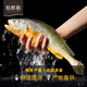 國(guó)信 【冰凍】水產(chǎn) 裕鮮舫三去大黃魚(yú) 去鱗去鰓去內(nèi)臟 300g/條 300g/袋*2