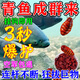 魚誘青魚餌料專攻大物野釣青魚神器秋冬季黑坑專用不開口顆粒餌料通殺 買2送1【80%釣友選擇】日釣千斤