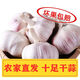 新干蒜5斤大蒜頭種籽干大蒜種子河南批發(fā)新鮮蔬菜2/3/10斤紫皮蒜 2500g 大果