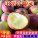 萊財多小國光蘋(píng)果笨果新鮮水果正宗國光蘋(píng)果瓦房店不打蠟不套袋 5斤特大 75mm以上