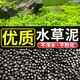 首力水草泥陶粒砂不渾水魚(yú)缸底砂水族造景套餐水草種子基肥水草缸底沙【精選凈水版】散裝水草泥1斤大對葉草種【6000?！?營(yíng)養肥