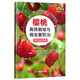 櫻桃高效栽培與病蟲害防治彩色圖譜/掃碼看視頻·輕松學(xué)技術(shù)叢書
