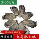 魚(yú)姐海成 青島生蠔鮮活海蠣子青島牡蠣當天海捕新鮮貝類(lèi)3-6只/斤500g袋裝