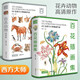2本【精裝】百花+百態(tài)動(dòng)物插畫(huà)集 西方大師手繪插畫(huà)作品集水彩動(dòng)物植物花卉插版畫(huà)博物畫(huà)圖譜原作正版臨摹教材書(shū)籍 楊建飛