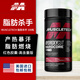 肌肉科技（MUSCLETECH）減脂精英脂肪殺手Hydroxycut減肥瘦身運動(dòng)健身暴汗含咖啡美國進(jìn)口 100粒（紅色膠囊-高含量版）