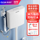 歐諾莎（Olsa） 廁所家用衛(wèi)生間馬桶沖水箱蹲便器水箱靜音節(jié)能雙控大沖力套裝 水箱+安裝包+不銹鋼增壓噴槍