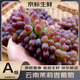 優(yōu)味集【順豐JD】葡萄云南茉莉香水果新鮮無籽香甜紅色提子玫瑰香水果 2500g凈重裝（家庭暢享） 商超A+級金果
