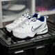 耐克（NIKE）鞋子男鞋透氣輕便緩震運動鞋zoom 2k復古潮流老爹鞋跑步鞋鞋子男 415445-102/Air全掌氣墊 42
