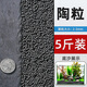 大匠神彩魚(yú)缸底砂魚(yú)缸造景雨花石沙石頭裝飾鋪底石鵝卵石溪流石雨林沙底沙 5斤裝 天然陶粒2-3mm