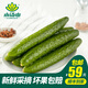 小湯山 黃瓜 約350g 新鮮蔬菜基地種植當天采摘