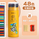 晨光（M&G）彩鉛小學(xué)生畫(huà)畫(huà)專(zhuān)用油性水溶性彩色可擦鉛筆幼兒園兒童手繪涂色筆套裝美術(shù)素描彩筆畫(huà)筆 48色【無(wú)木可擦】贈卷筆刀/橡皮