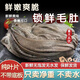 屠宰場現(xiàn)殺新鮮黃牛百葉毛肚純?nèi)~片無泡發(fā)火鍋食材大葉片鎖鮮毛肚 2斤