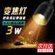 智宙魚缸射燈變焦燈南美造景專用小型水草燈LED燈具夾燈led照明小射燈 【自由變焦】3W 魚缸射燈